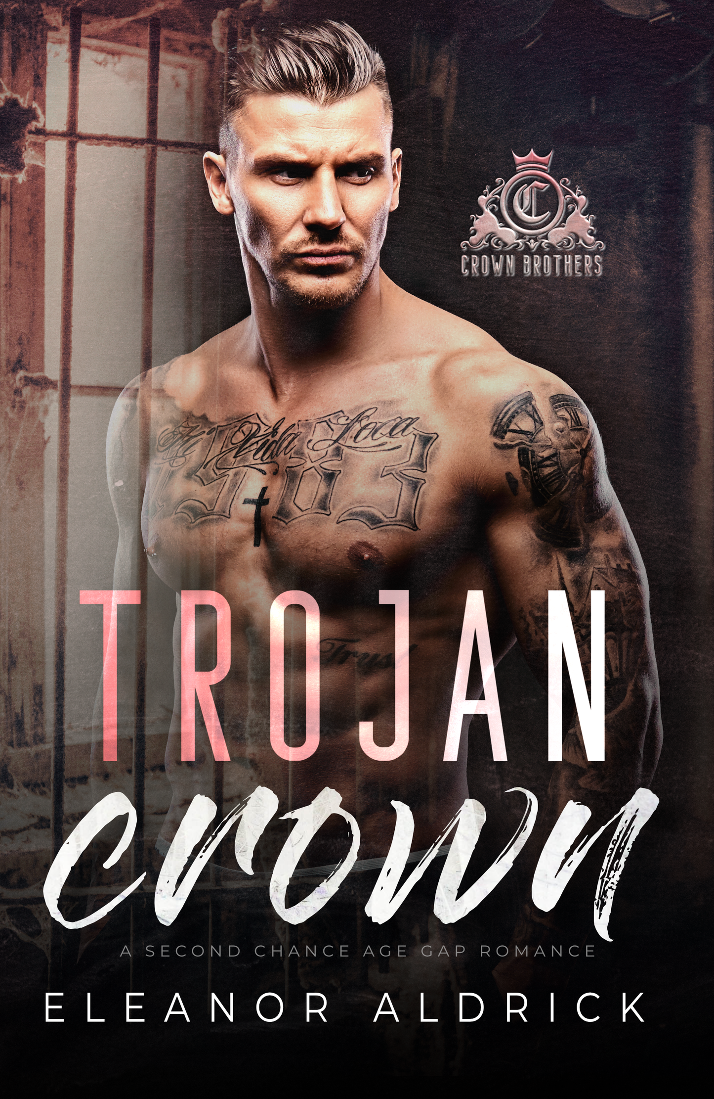 Trojan Crown: A Single Dad Age Gap Romance (Crown Brothers)